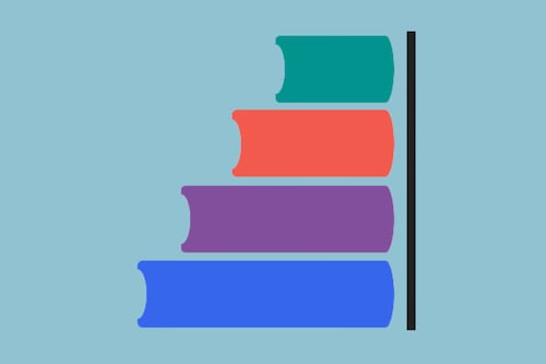 2026 Chicago School Board Election Resources